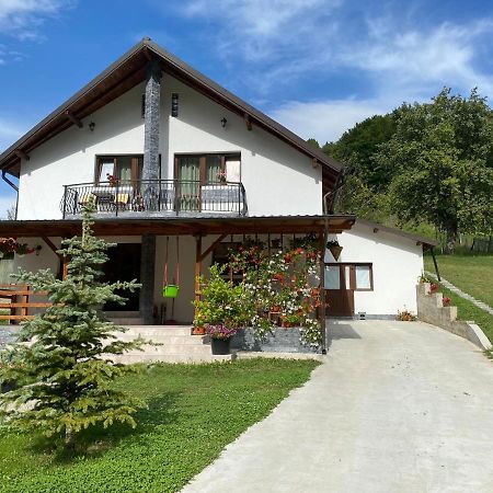 Casa Alex Hotel Árgyasudvarhely Kültér fotó