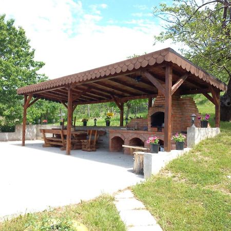 Casa Alex Hotel Árgyasudvarhely Kültér fotó