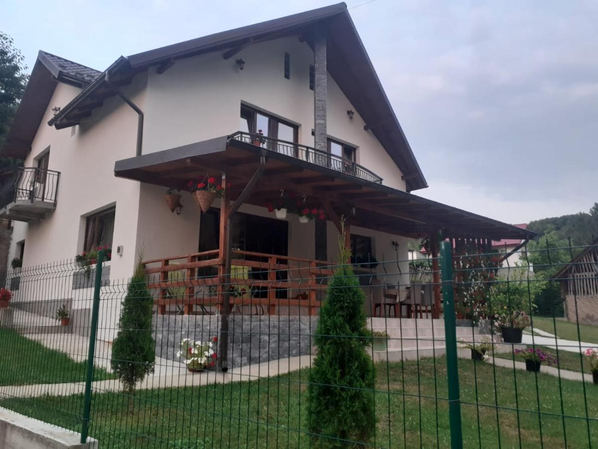 Casa Alex Hotel Árgyasudvarhely Kültér fotó