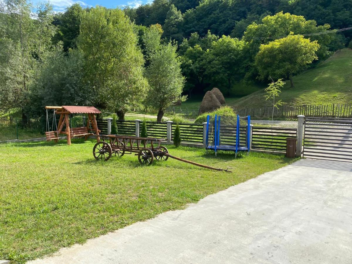 Casa Alex Hotel Árgyasudvarhely Kültér fotó