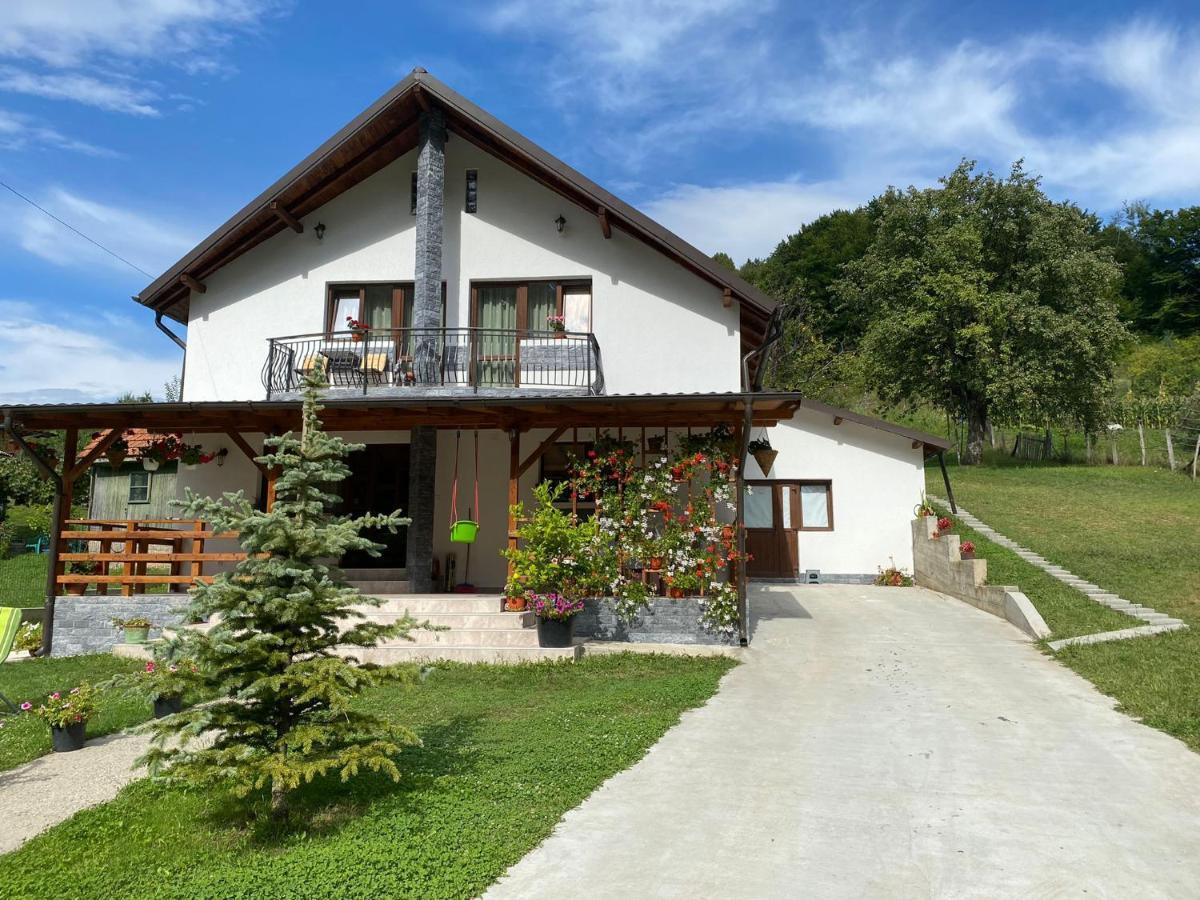 Casa Alex Hotel Árgyasudvarhely Kültér fotó