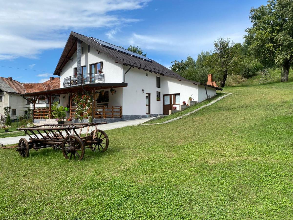 Casa Alex Hotel Árgyasudvarhely Kültér fotó