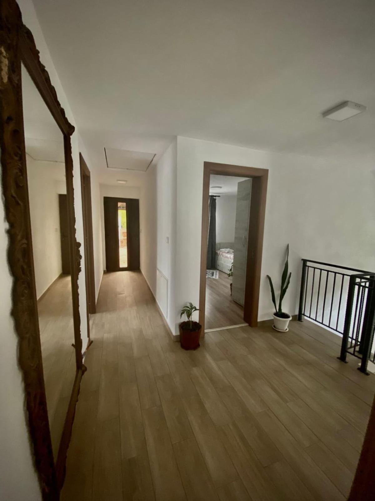 Casa Alex Hotel Árgyasudvarhely Kültér fotó