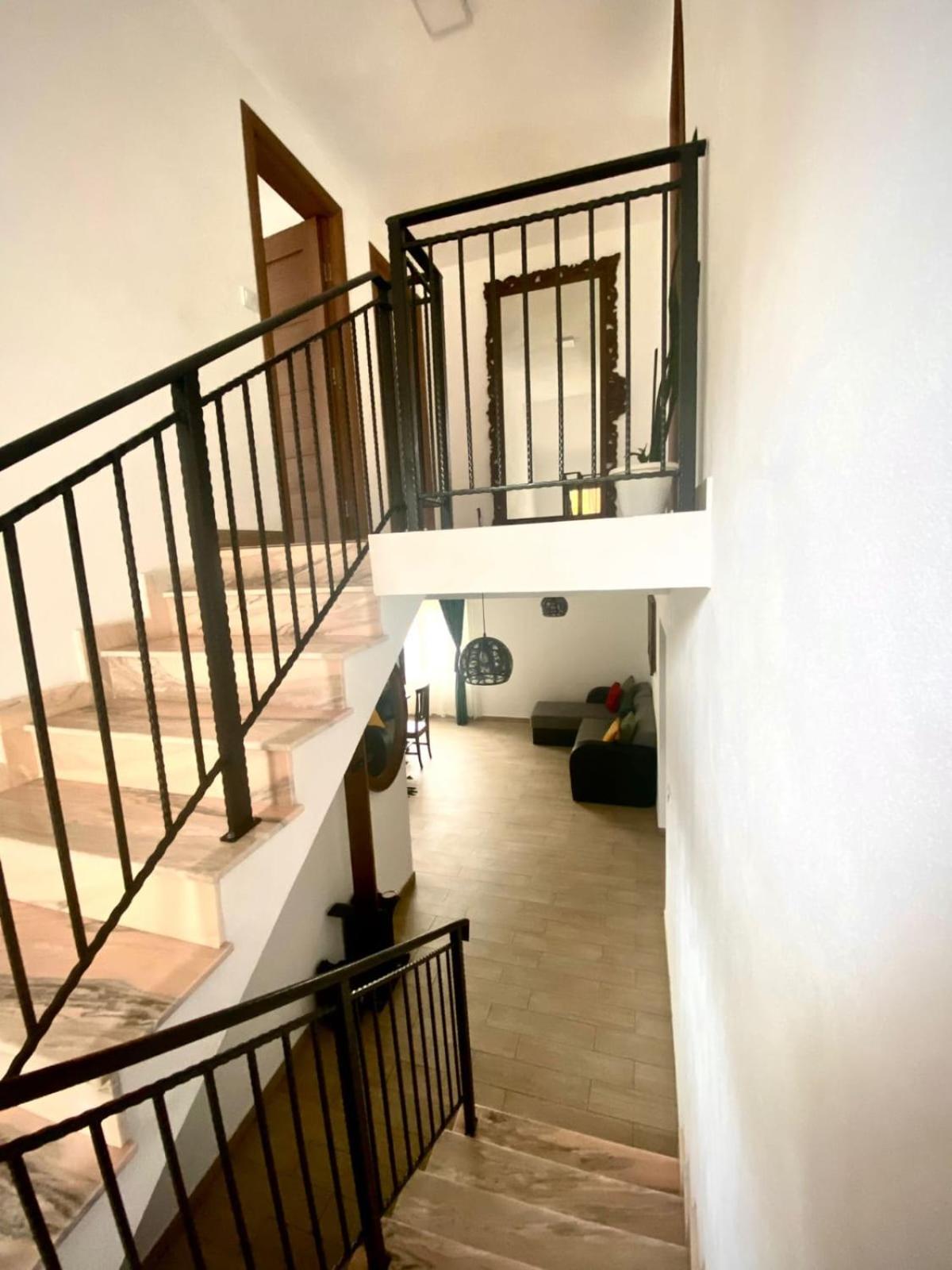 Casa Alex Hotel Árgyasudvarhely Kültér fotó